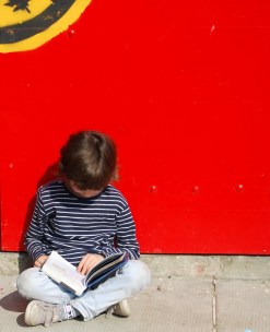 Reflection_old_stable